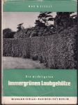 Immergrünen Laubgehőlze - náhled