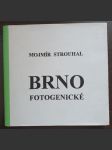 Brno fotogenické - náhled