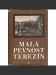 Malá pevnost Terezín (historie, druhá světová válka, holokaust) - náhled