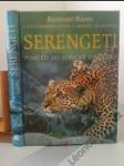 Serengeti — pohled do africké divočiny - náhled