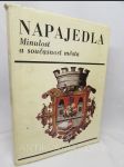 Napajedla: Minulost a současnost města - náhled