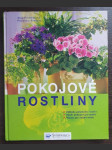 Pokojové rostliny - náhled