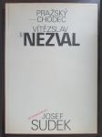 Pražský chodec - náhled