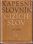 Kapesní slovník cizích slov (malý formát) - náhled