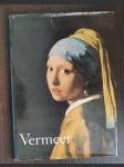 Vermeer - náhled