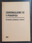 Zdokonalujeme se v pravopisu - náhled