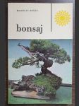 Bonsaj - náhled