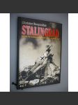 Stalingrad - bitva ve vzduchu: leden 1942 - leden 1943 [letecká bitva] - náhled