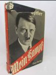 Mein Kampf - náhled