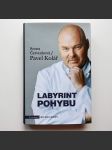 Labyrint pohybu  - náhled