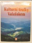 Kulturní toulky Valašskem - náhled