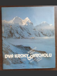 Dva kroky od vrcholu - náhled