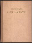 Kuvik na plote - náhled