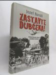 Zastavte Dubčeka! Príbeh človeka, ktorý prekážal mocným - náhled