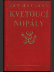 Kvetoucí nopály - náhled