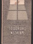 Soudruhu nezklam - náhled