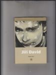 Jiří David (Obrazy, objekty, instalace, fotografie 1984-2004) - náhled