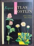 Kapesní atlas rostlin - náhled