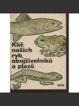 Klíč našich ryb, obojživelníků a plazů (ryby, plazy, hadi, obojživelníci) - náhled