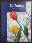 Tulipány - náhled