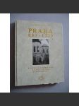 Praha 885-1300. Kapitoly o románské a raně gotické architektuře [románská a gotická architektura Prahy] - náhled