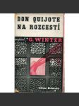 Don Quijote na rozcestí - náhled