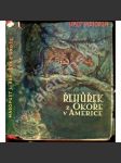 Řehůřek z Okoře v Americe. Dobrodružství českého hocha v cizině (dobrodružství, cestopis) - náhled