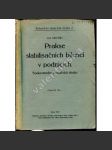 Prakse stabilisačních bilancí v podnicích. Soukromohospodářská studie (účetnictví, první republika) - náhled