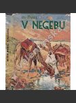 V Negebu - náhled