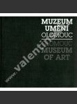 Muzeum umění Olomouc - náhled