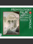 Přemyslovský palác v Olomouci [Olomouc, románská architektura, Přemyslovci, hrad, popis stavby, raný středověk] - náhled