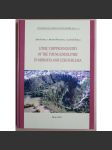 Lithic Chipped Industry of the Young Eneolithic in Moravia and Czech Silesia [= Spisy Archeologickeho ustavu AV CR Brno, 46] - náhled