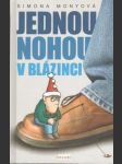 Jednou nohou v blázinci - náhled