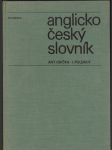 Anglicko-český slovník - náhled