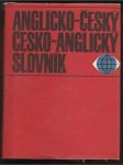 Anglicko-český, česko-anglický slovník - náhled