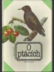 O ptácích - náhled