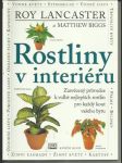 Rostliny v interiéru - náhled