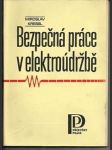 Bezpečná práce v elektroúdržbě - náhled