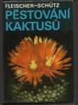 Pěstování kaktusů - náhled