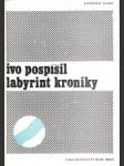 Labyrint kroniky - náhled