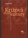 Krížová cesta kultúry. Kritické reflexie z rokov 1989-2007 - náhled