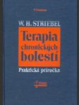 Terapia chronických bolestí - náhled