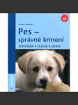 Pes – správné krmení - náhled