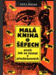 Malá kniha o šéfech - náhled