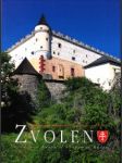 Zvolen - náhled