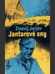 Jantarové sny - náhled