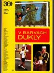 V barvách Dukly - náhled