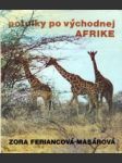 Potulky po východnej Afrike - náhled