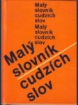 Malý slovník cudzích slov - náhled