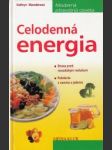 Celodenná energia - náhled